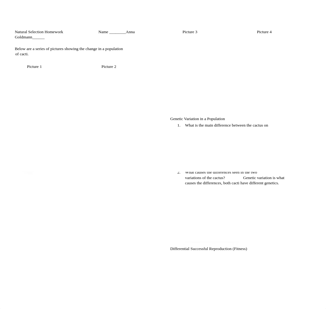 Natural Selection Worksheet-1.docx_dohhydymrz2_page1