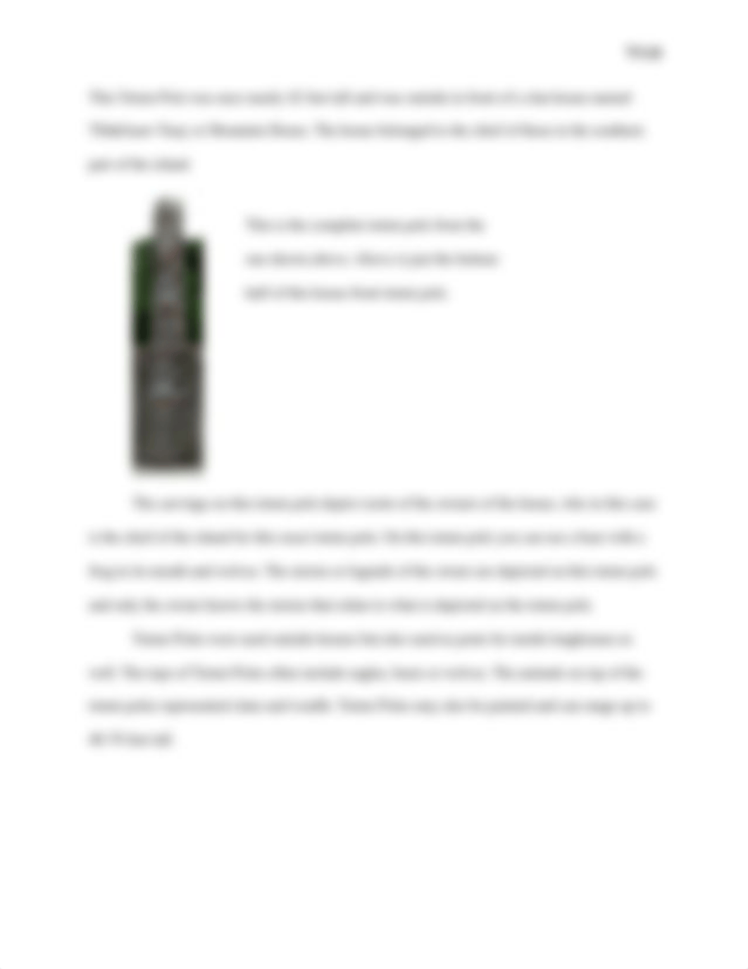 Totem Poles in Northwest Coast Tribes.docx_dohi1k6qhw2_page3