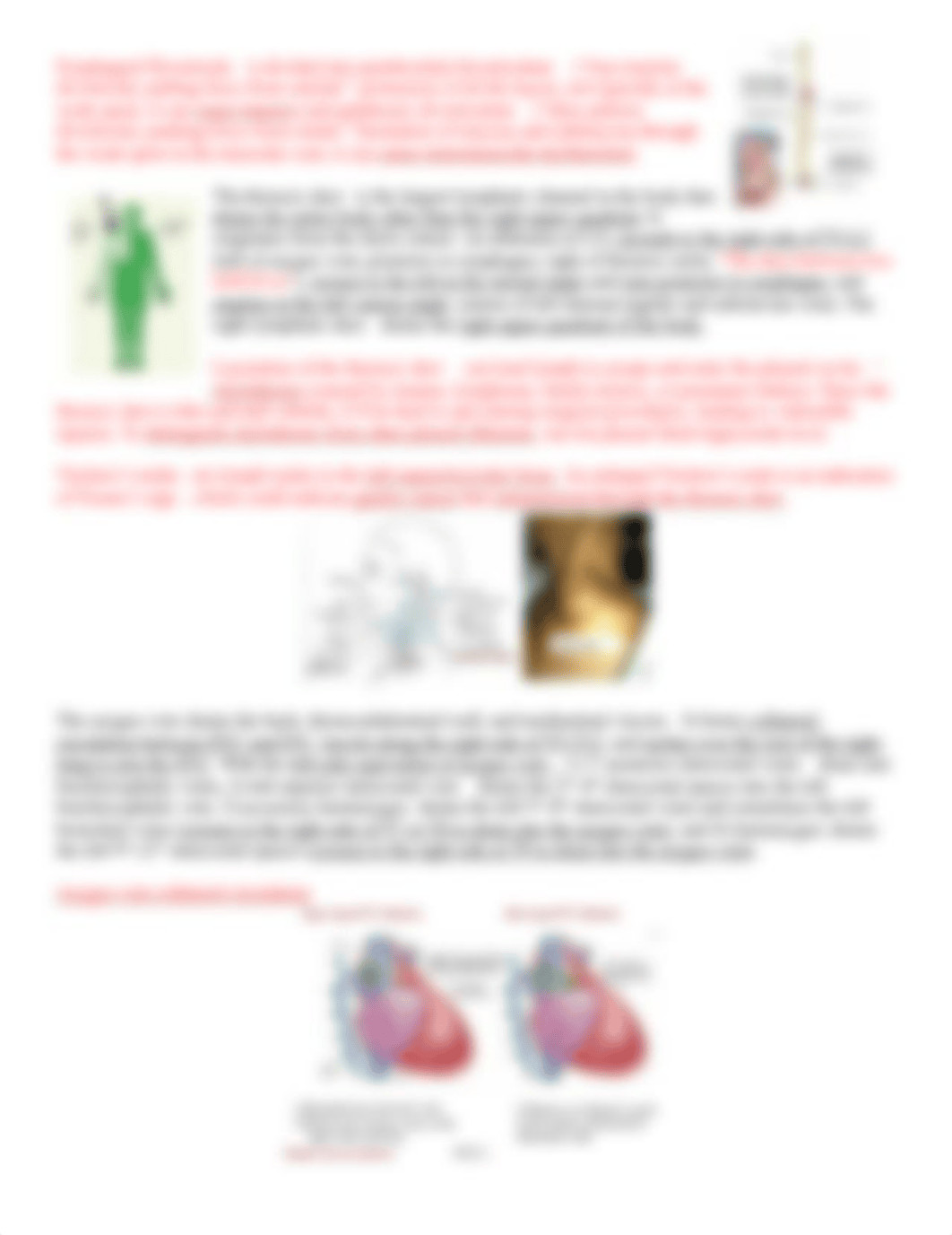 Posterior Mediastinum.docx_dohoip8sa9o_page2