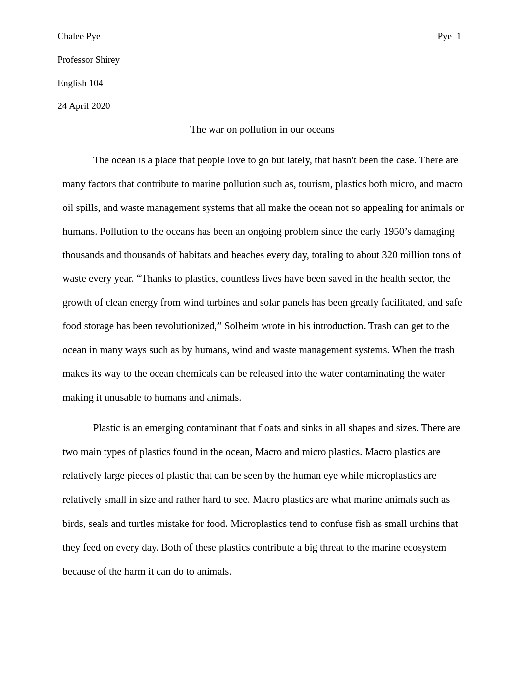 Marine pollution essay (2).docx_dohqywe33qt_page1