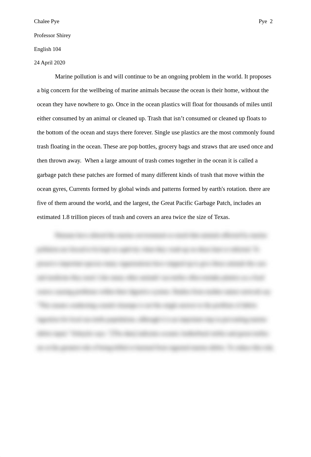 Marine pollution essay (2).docx_dohqywe33qt_page2