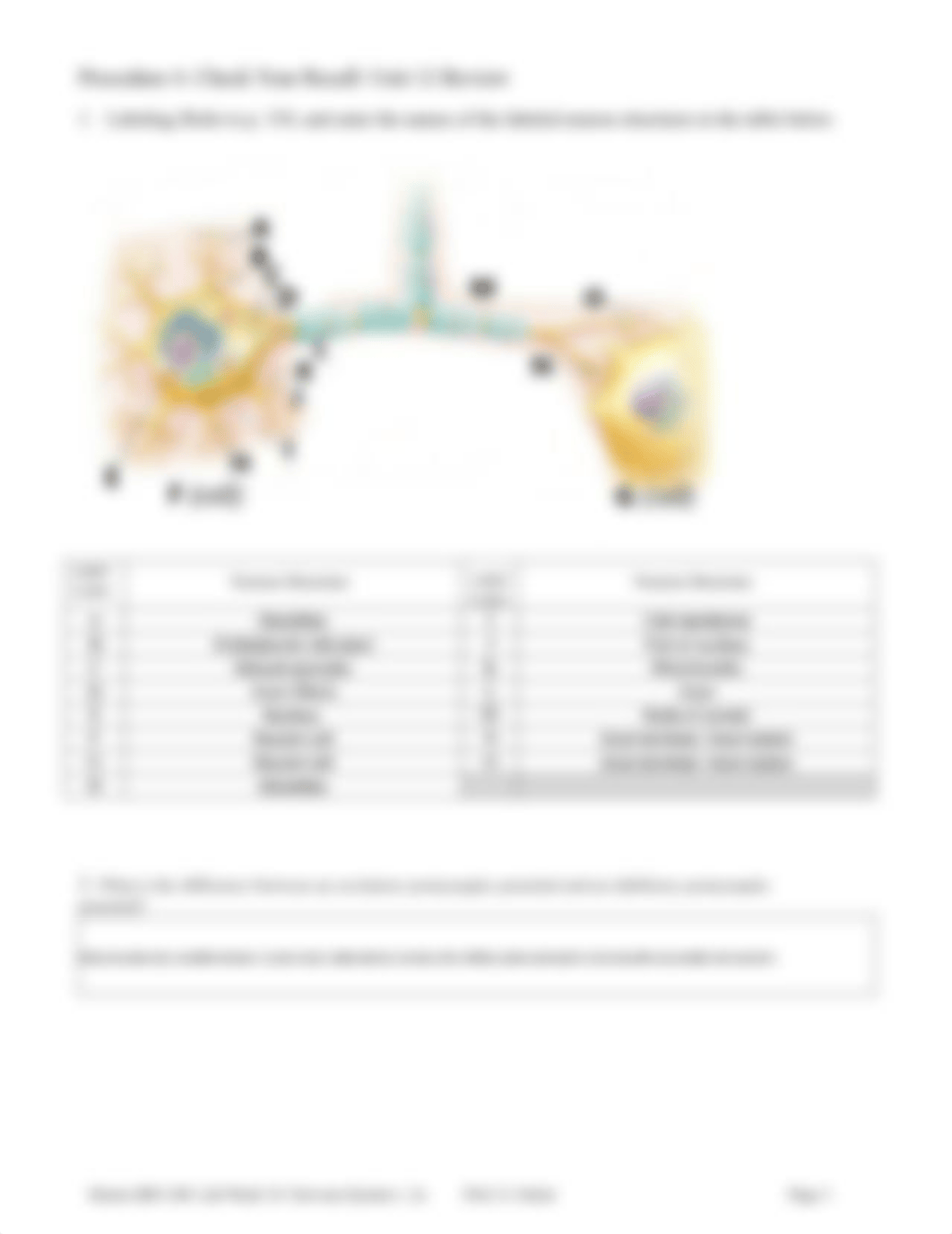 BIO 240-LabWeek 10 Worksheet-Intro to Nervous System v02a-Form1.pdf_dohrd8mh54w_page3