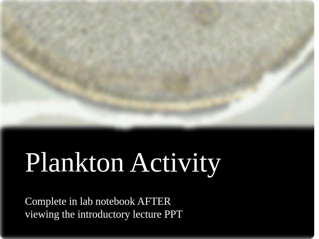 Plankton Activity.pptx_dohs2m3jxi7_page1