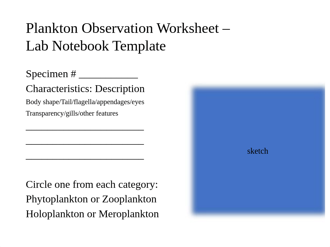 Plankton Activity.pptx_dohs2m3jxi7_page5