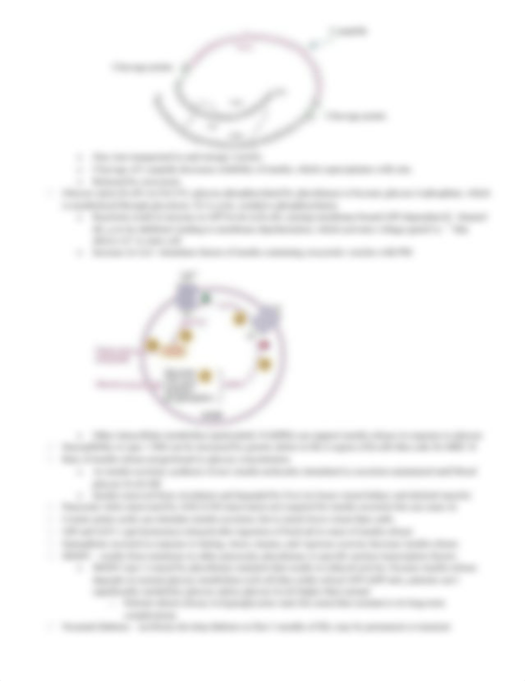 biochem ch 26_dohvrzch29l_page2