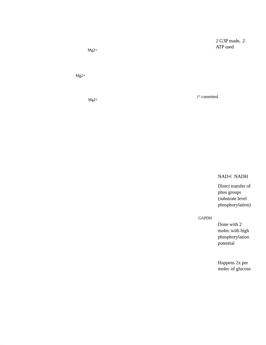 Biochem Exam 3 Study Guide.docx_dohwu7hhjpa_page2