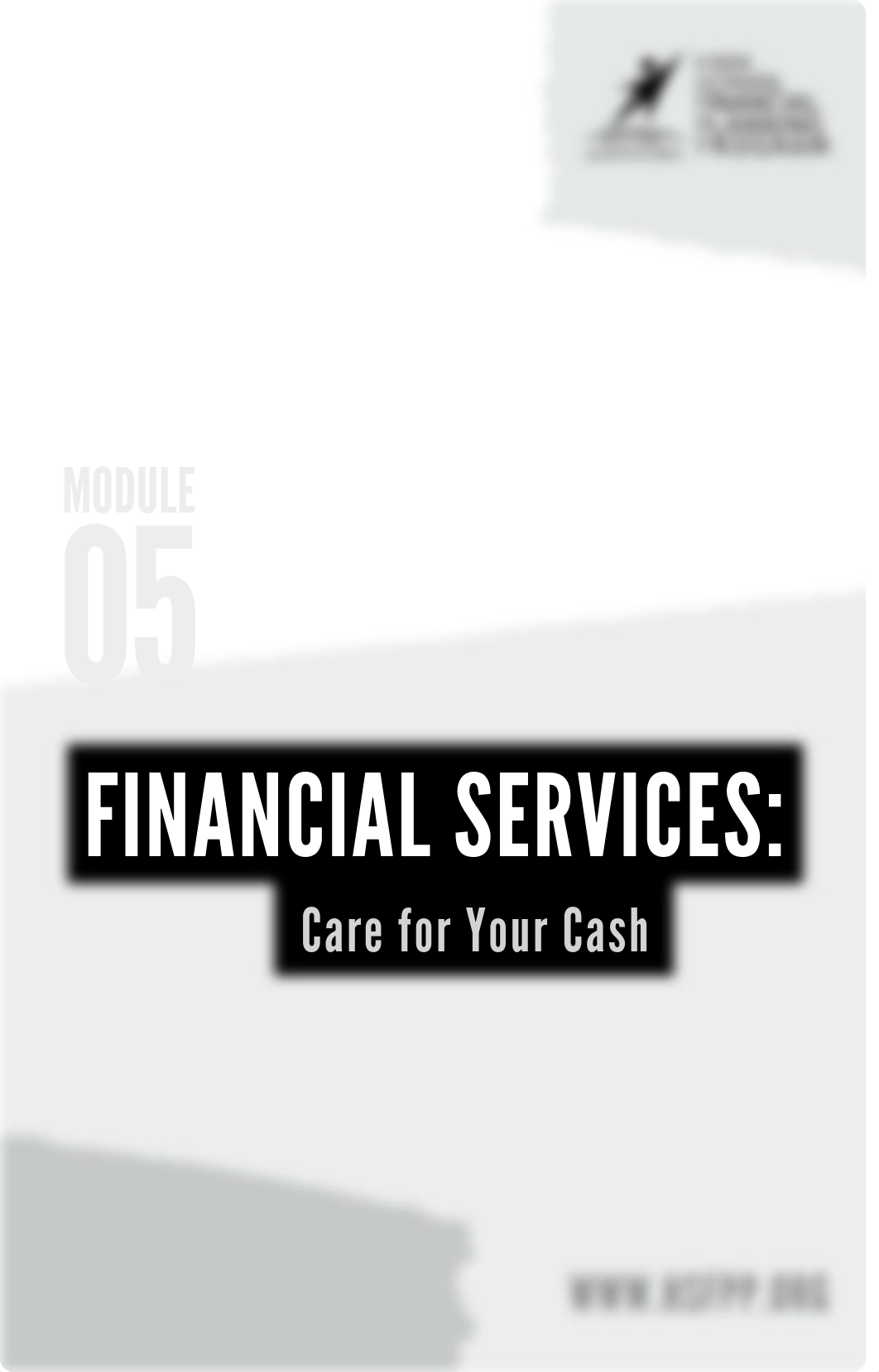 Module-5-Financial Services.pdf_doi4zd7hs2c_page3