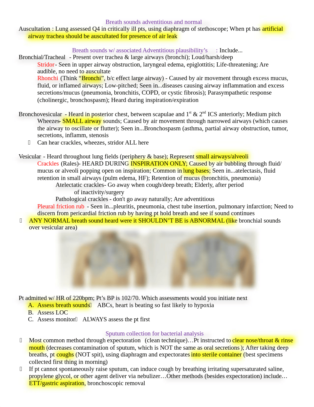 Adult-Exam-2.docx_doildlthkae_page1