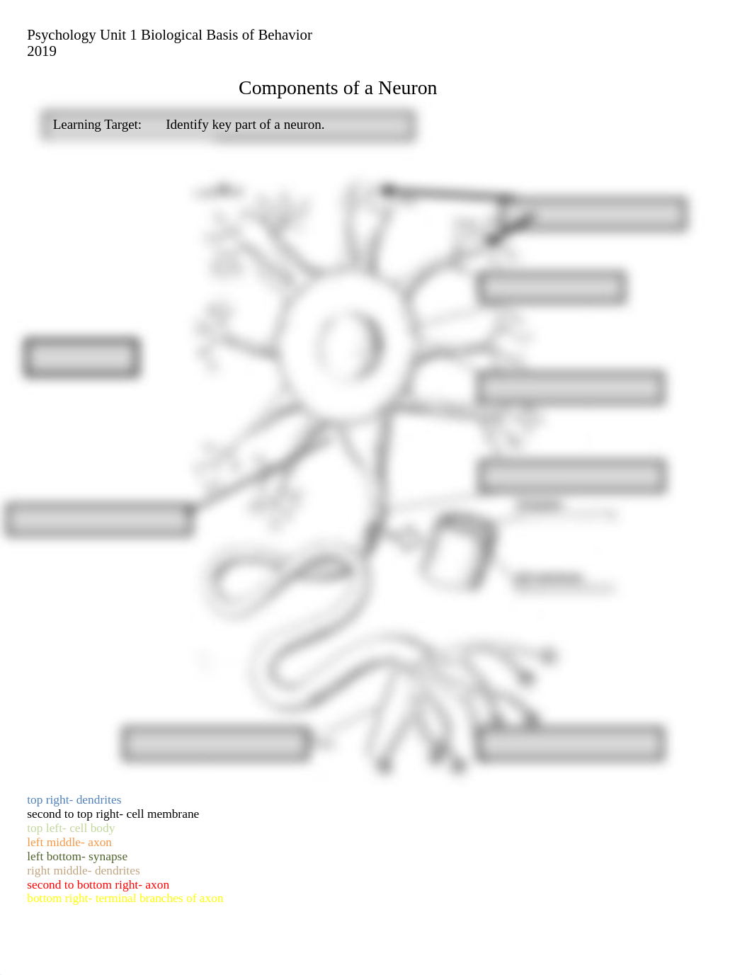 Components of a Neuron.docx_doio1wtxw9m_page1