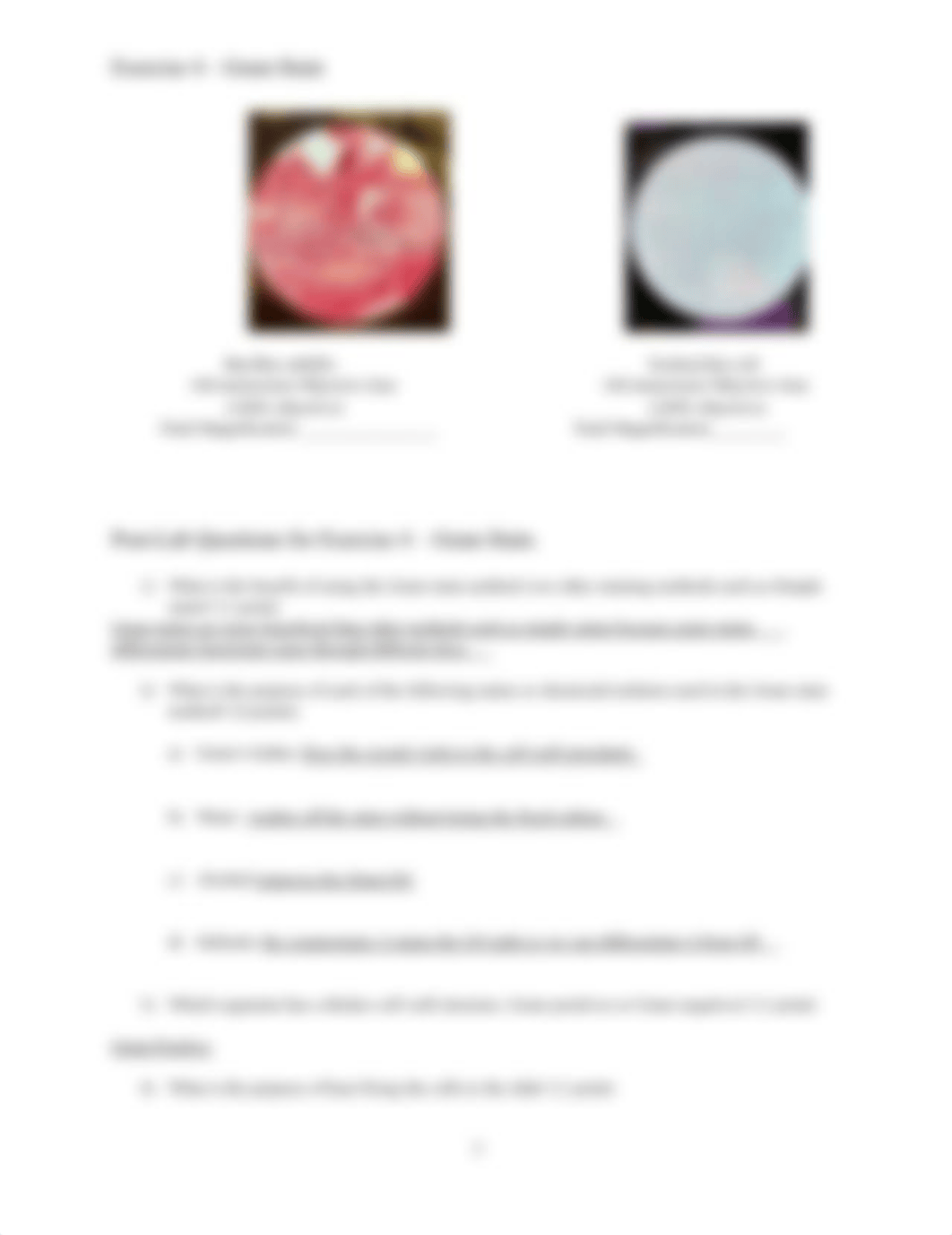 Exercise 4 - Gram Stain.pdf_doip8ibhnsh_page2