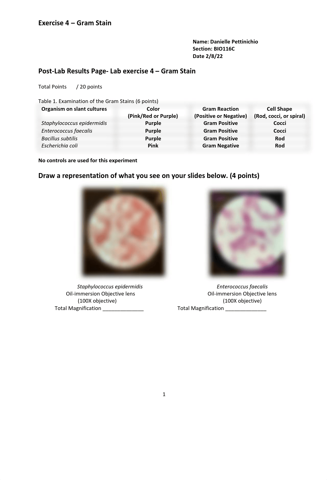 Exercise 4 - Gram Stain.pdf_doip8ibhnsh_page1