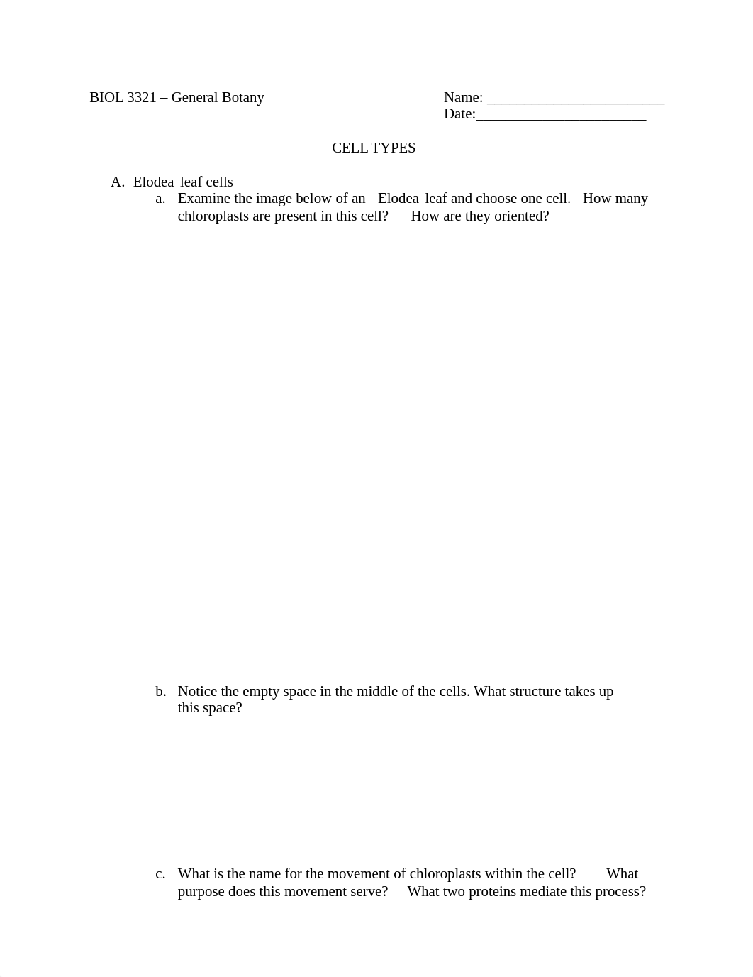 Lab 1 cell types.docx_doiw5lervgl_page1