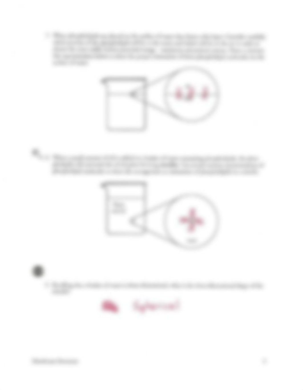 518196795-POGIL-Membrane-Structure-Answer-Key-Copy.pdf_doiyiogpft8_page3