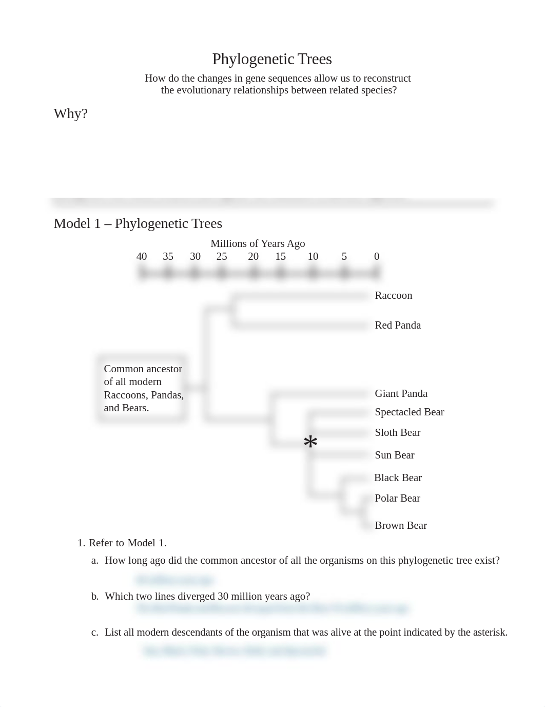 Kami Export - 22 Phylogenetic Trees-S (2).pdf_doj1srzsnys_page1