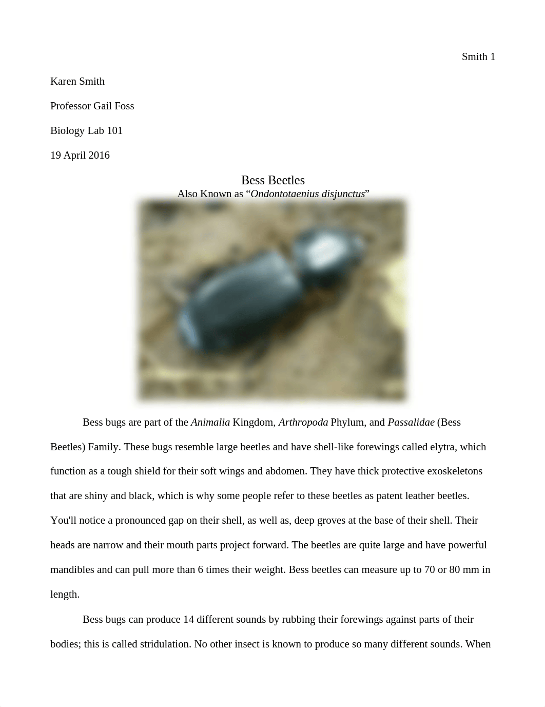 Bess Bug Paper.odt_doj2kg7t1jp_page1