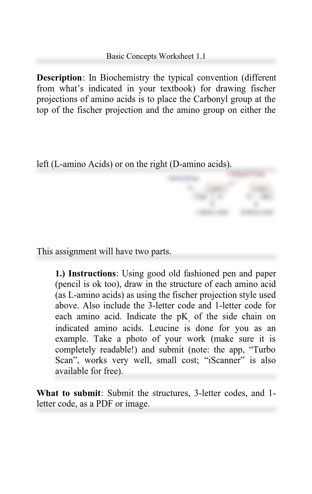 WS 1.1.pdf_doj4xvpn047_page1