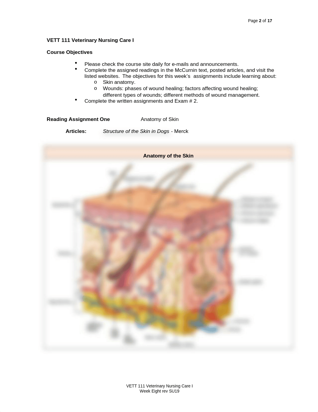 8 VETT 111 Skin Wounds rev1 SU19 Wk EIGHT.docx_doj9eeyv58u_page2