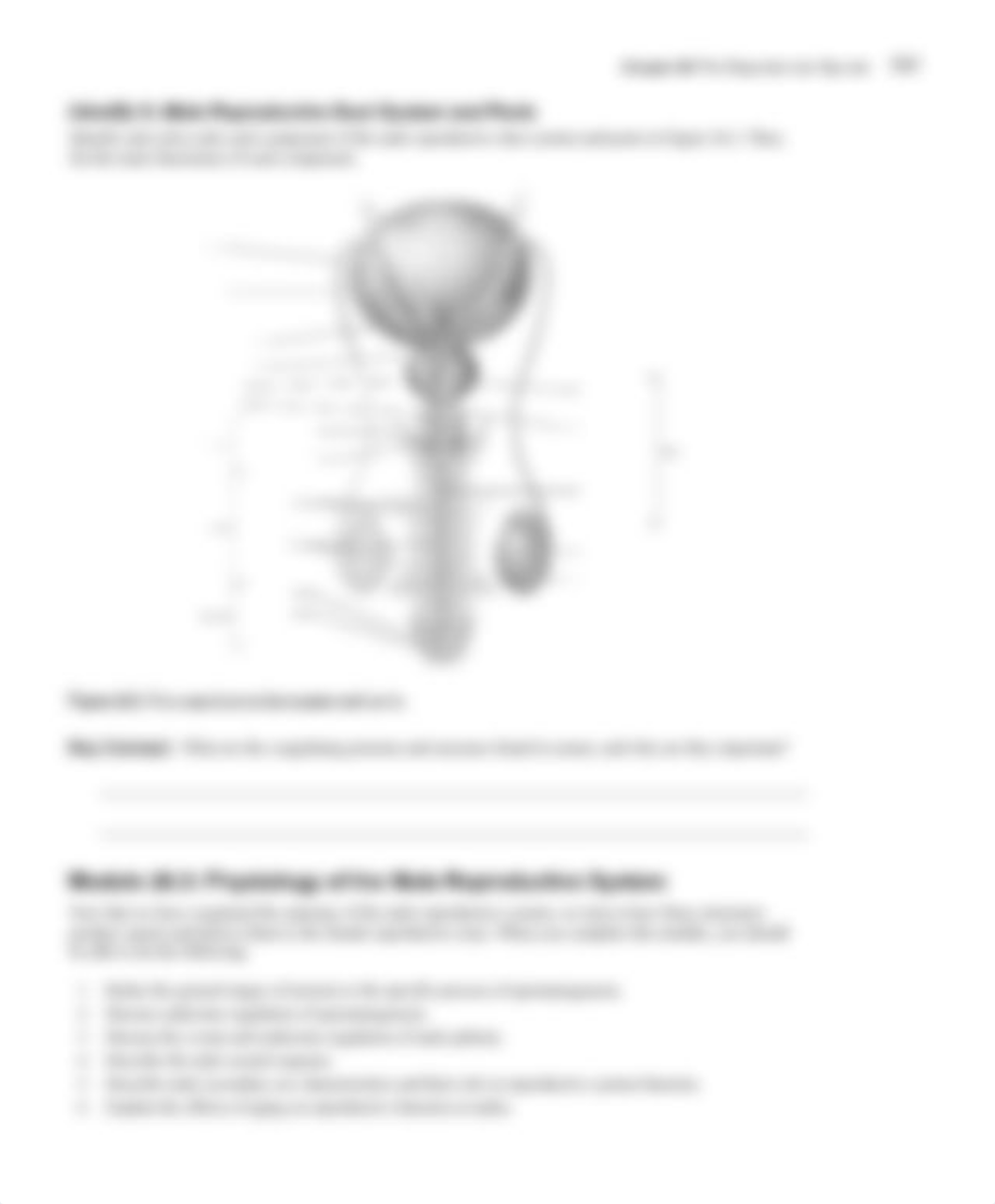 Chapter 26 Reproductive System WS.pdf_doj9htablkm_page5