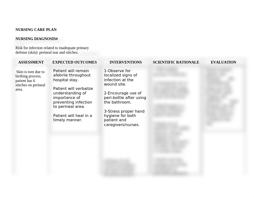 OB care plan - risk for infection.docx_dojnnyg5ih8_page1