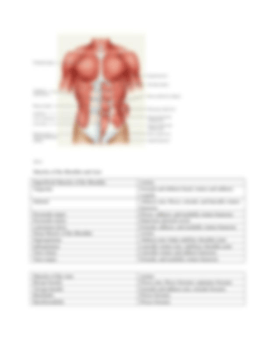 BIO 210 Lab Final Exam Review.docx_dok0k7dai47_page4