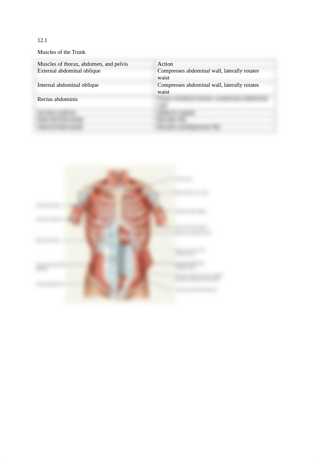 BIO 210 Lab Final Exam Review.docx_dok0k7dai47_page3