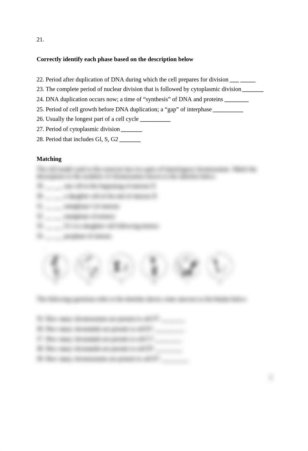 Mitosis/Meiosis Review_dok0thkbsy0_page2