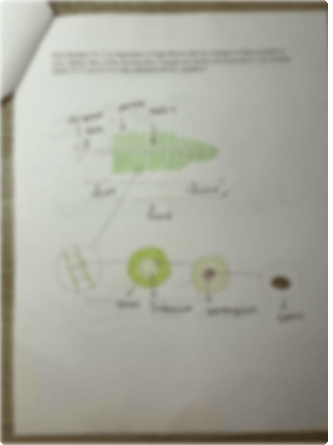 Lab 7.pdf_dok1drjdsnn_page4