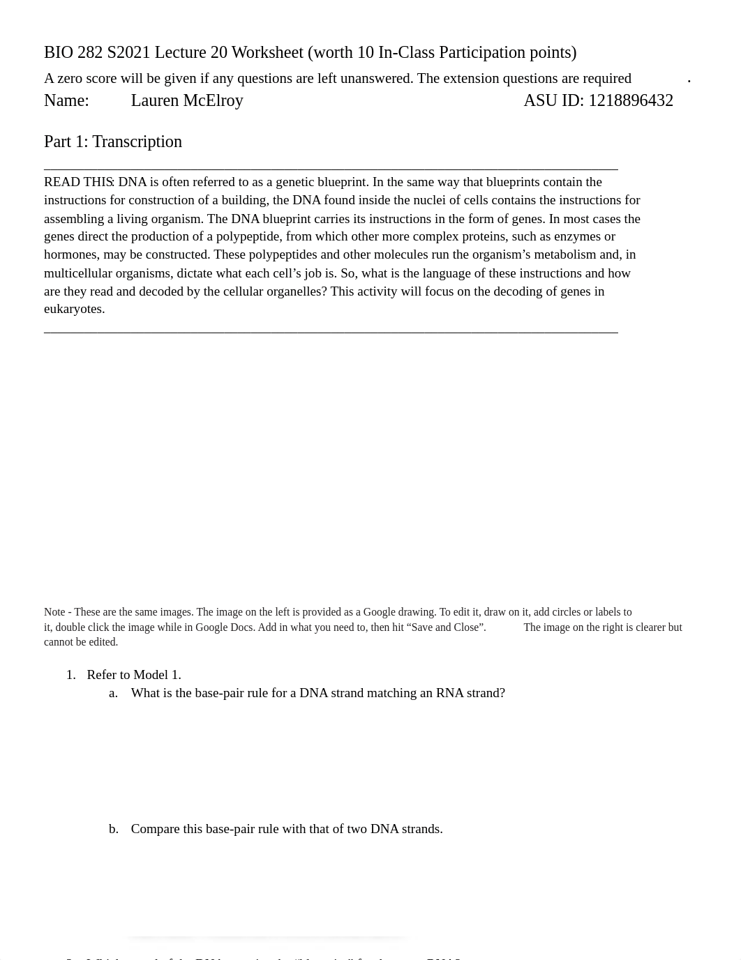 Copy of BIO 282 S2021 Lecture 20 Cetral Dogma Worksheet.pdf_dok1w23hxpz_page1