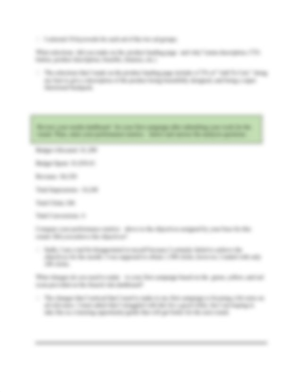 Digital Marketing Campaign Journal.docx_dok22p7tfdu_page3