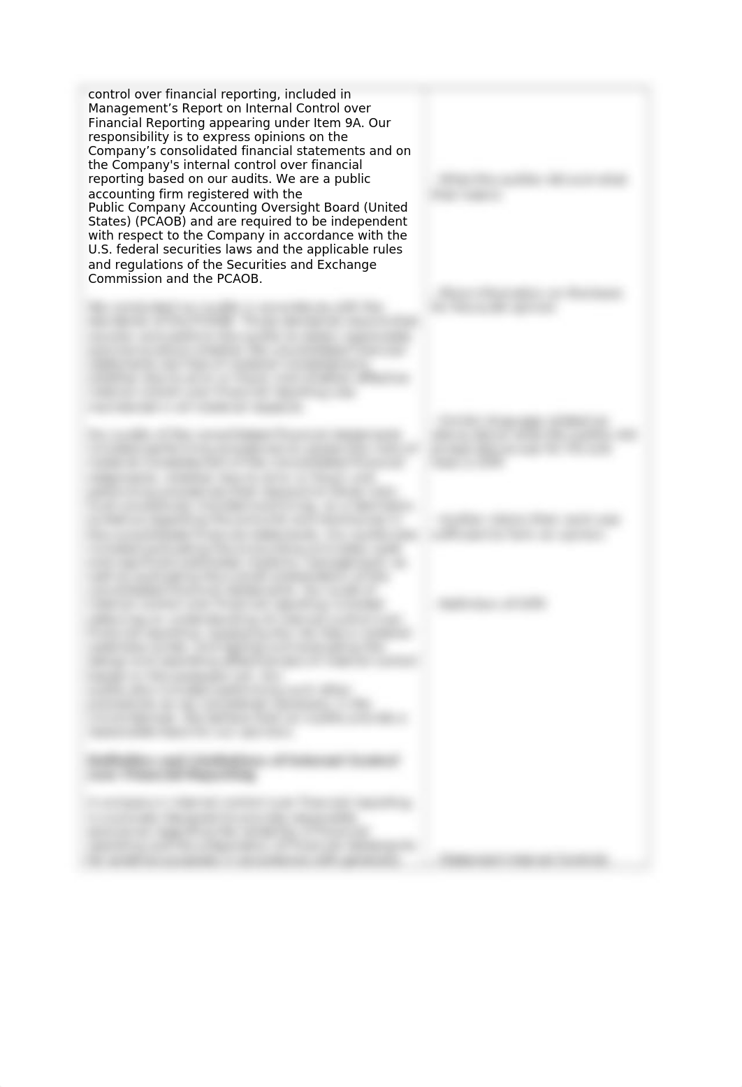 Tesla Audit Opinion 2019 (1).docx_dok9r1yk33v_page2