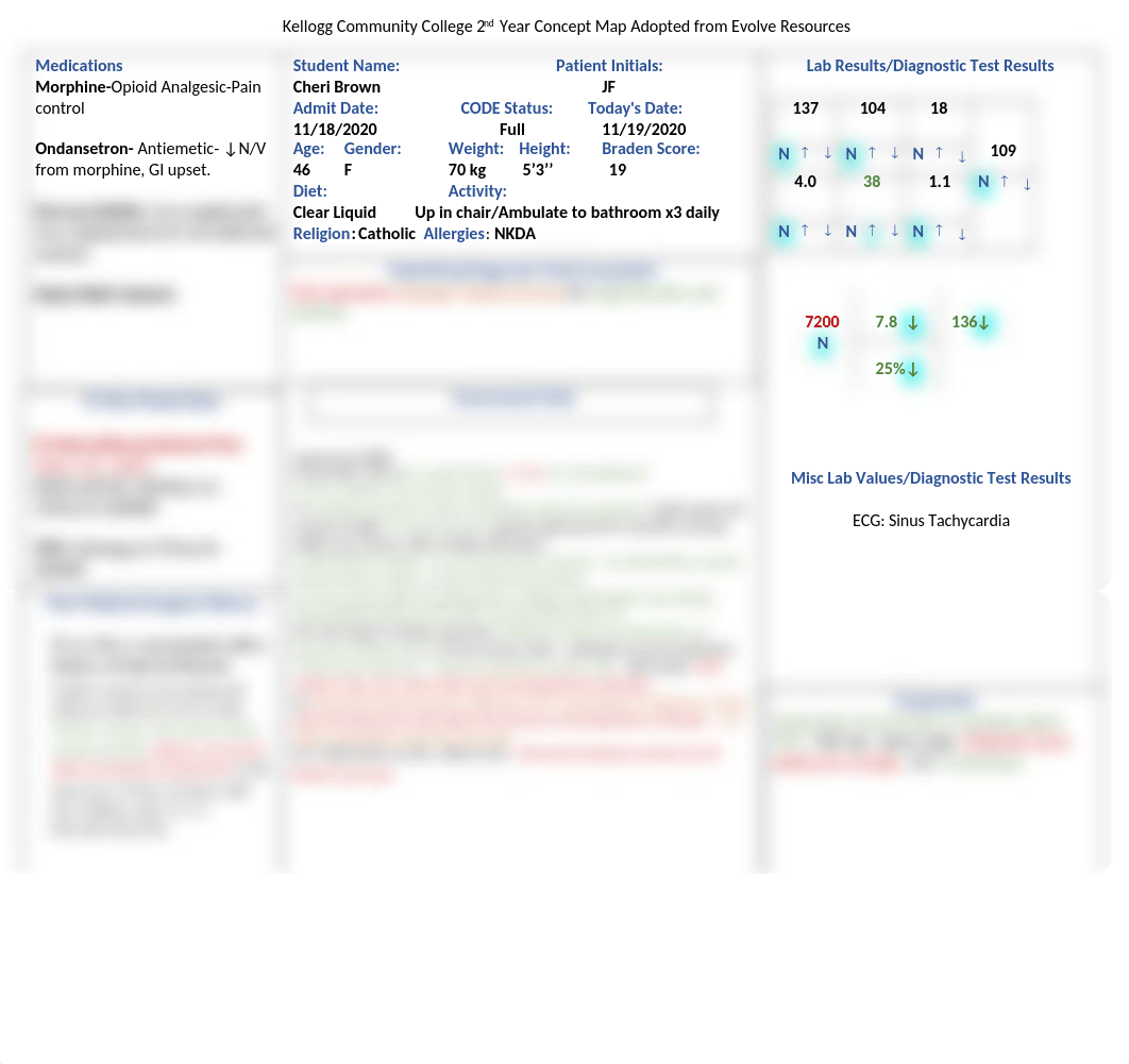 Med Surge Concept Map 1.docx_dokbouzm8pv_page2