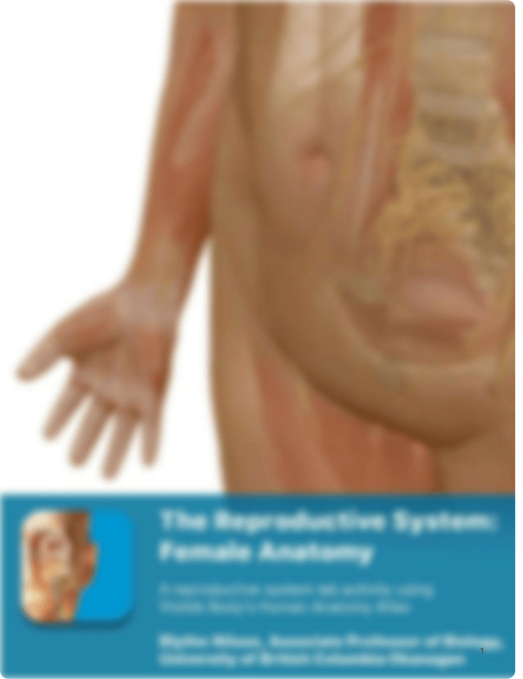 BIOL 1162 VB - the reproductive system female.pdf_dokbqsqztsk_page1