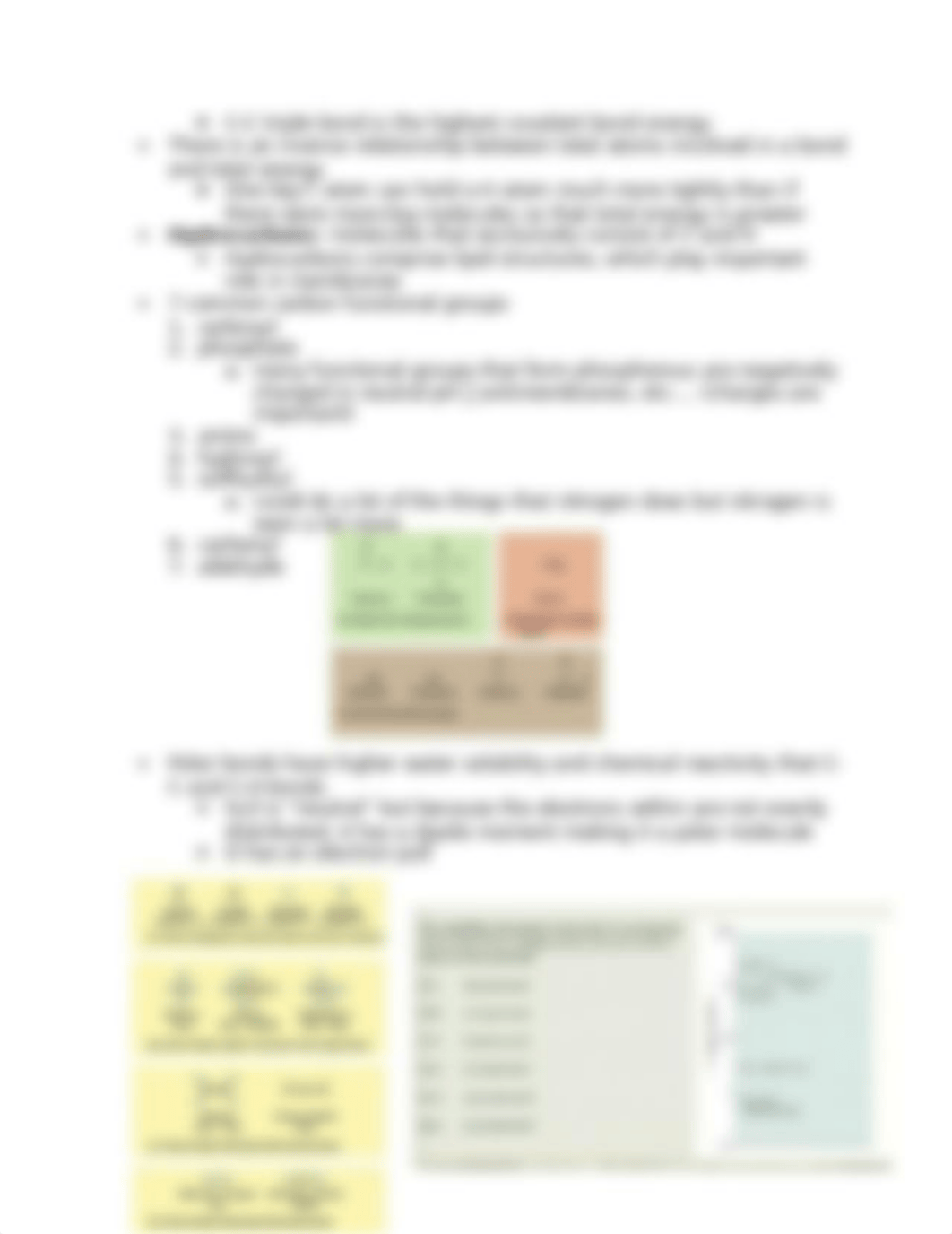 Exam 1 Cell Bio.docx_dokd0u4kx83_page3