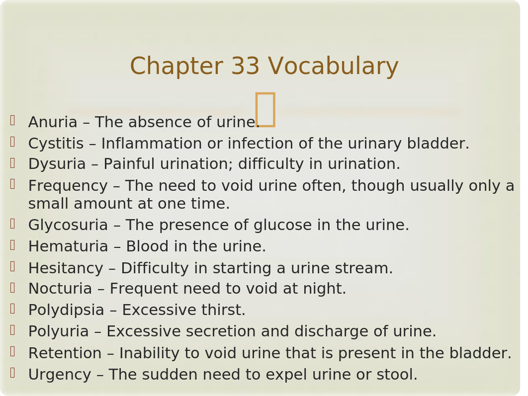 Unit 11 Chapter 33 - The Urinary System.pptx_doke6voa9j6_page2