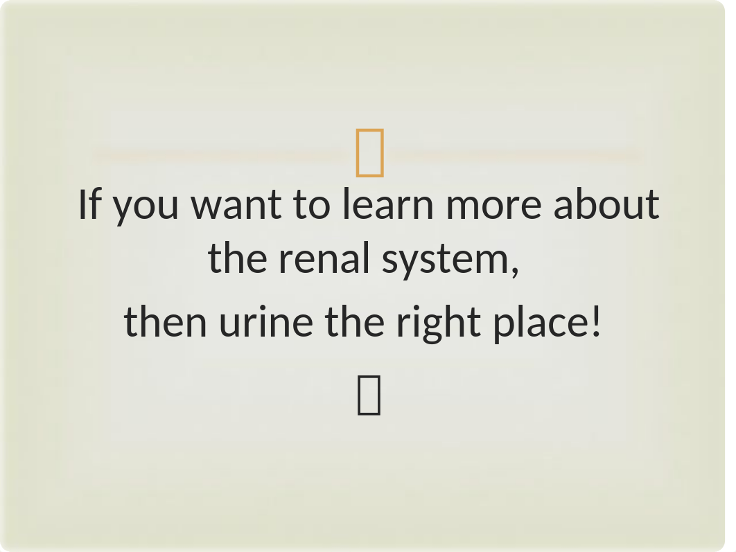 Unit 11 Chapter 33 - The Urinary System.pptx_doke6voa9j6_page3