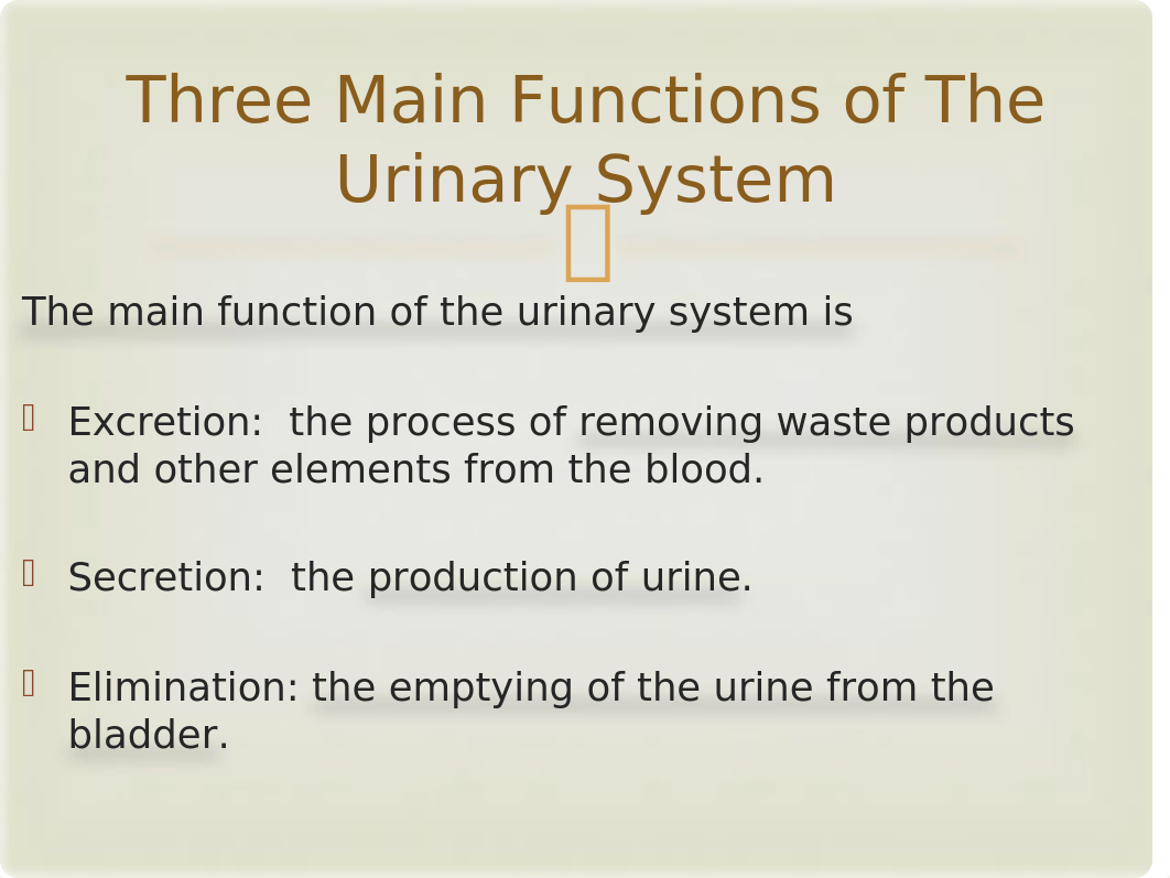 Unit 11 Chapter 33 - The Urinary System.pptx_doke6voa9j6_page4