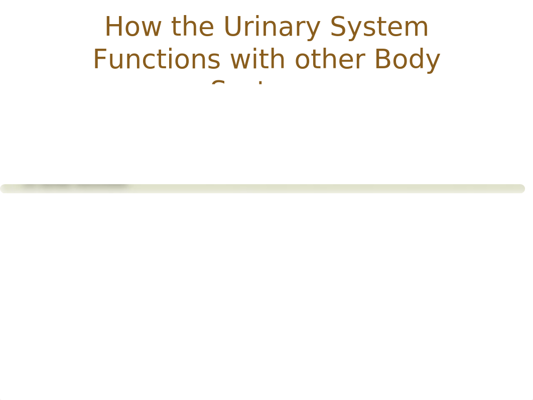 Unit 11 Chapter 33 - The Urinary System.pptx_doke6voa9j6_page5