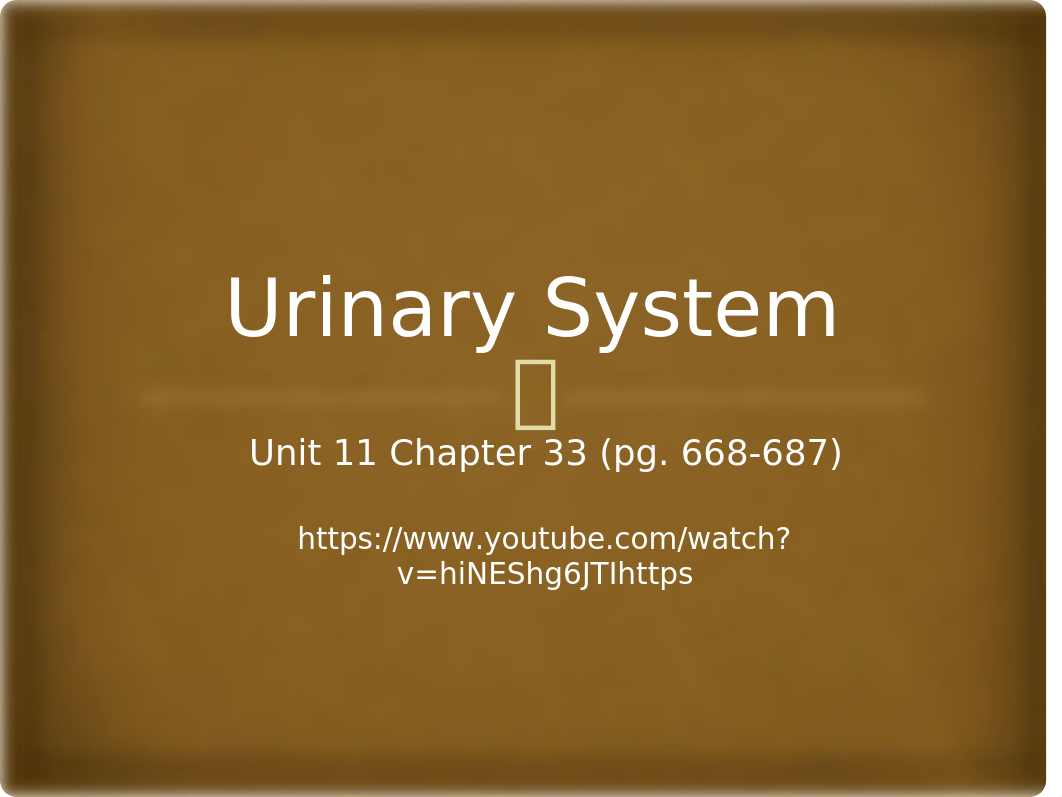 Unit 11 Chapter 33 - The Urinary System.pptx_doke6voa9j6_page1