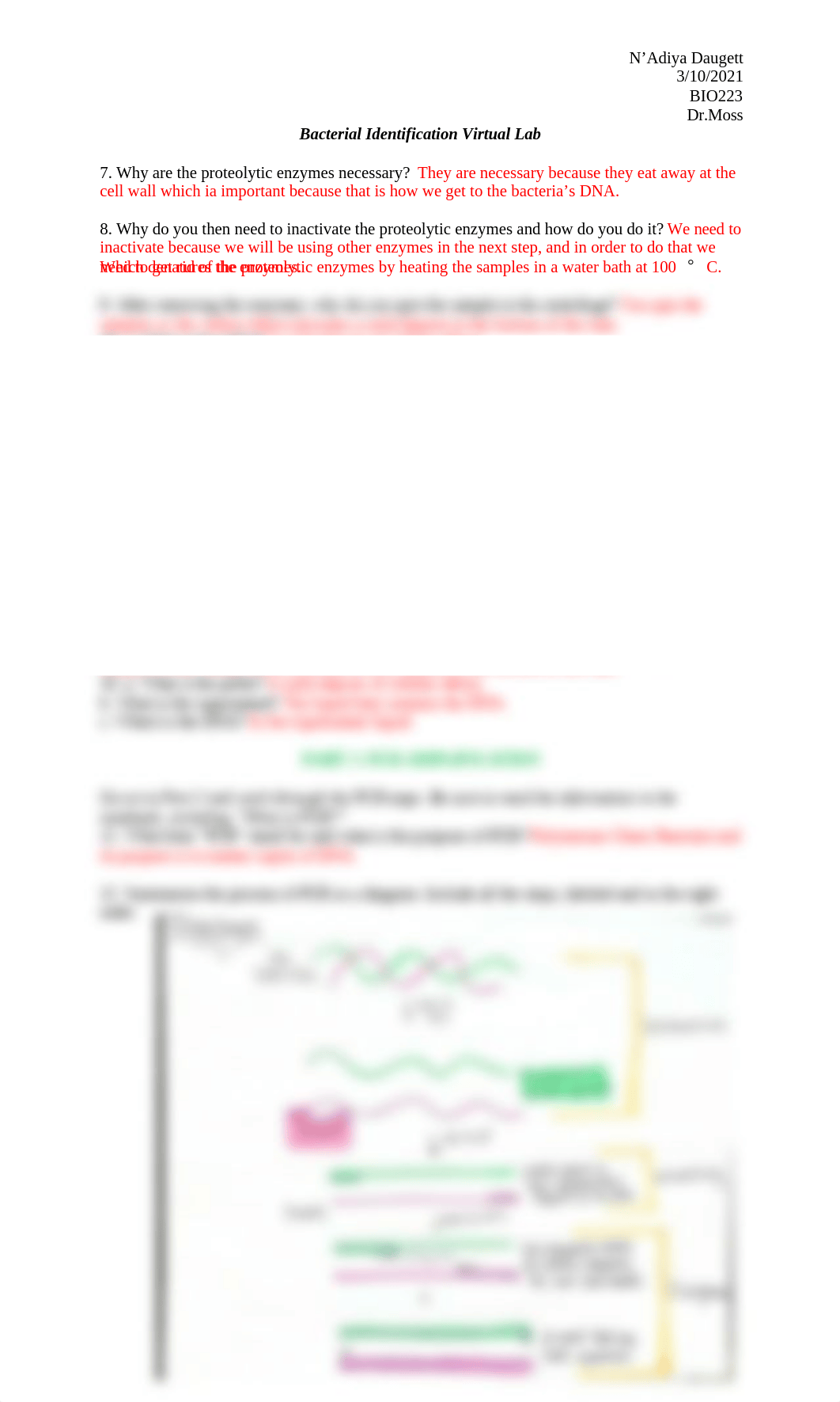 BIO224- Bacterial ID Virtual Lab Assignment (lab3).docx_dokfhsklqmm_page2