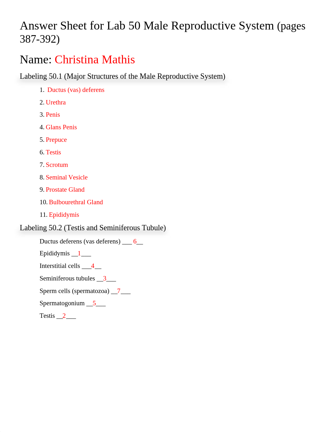 Lab 50 Male Reproductive System (2) (1).docx_dokggb5irzs_page1