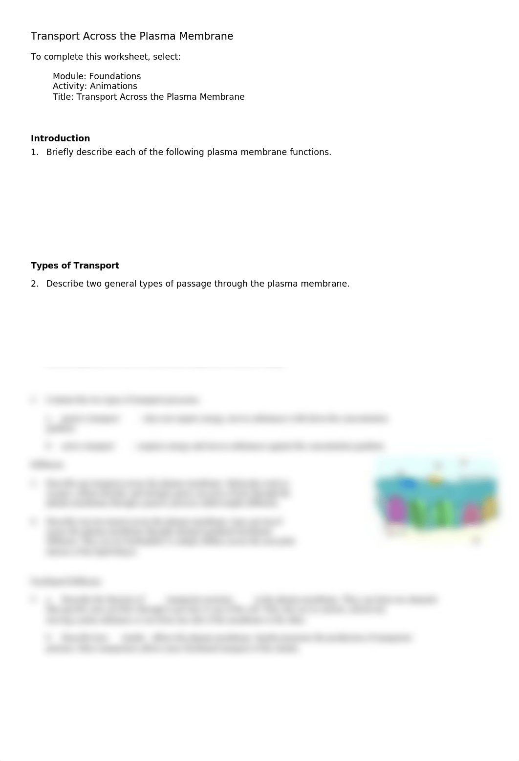 Transport across the plasma membrane.doc_dokjpv1w87h_page1