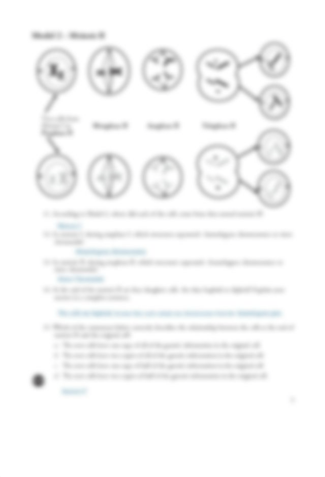 Kami Export - Nikar Samadova - 17 Meiosis-S.pdf_dokw79bg51p_page3