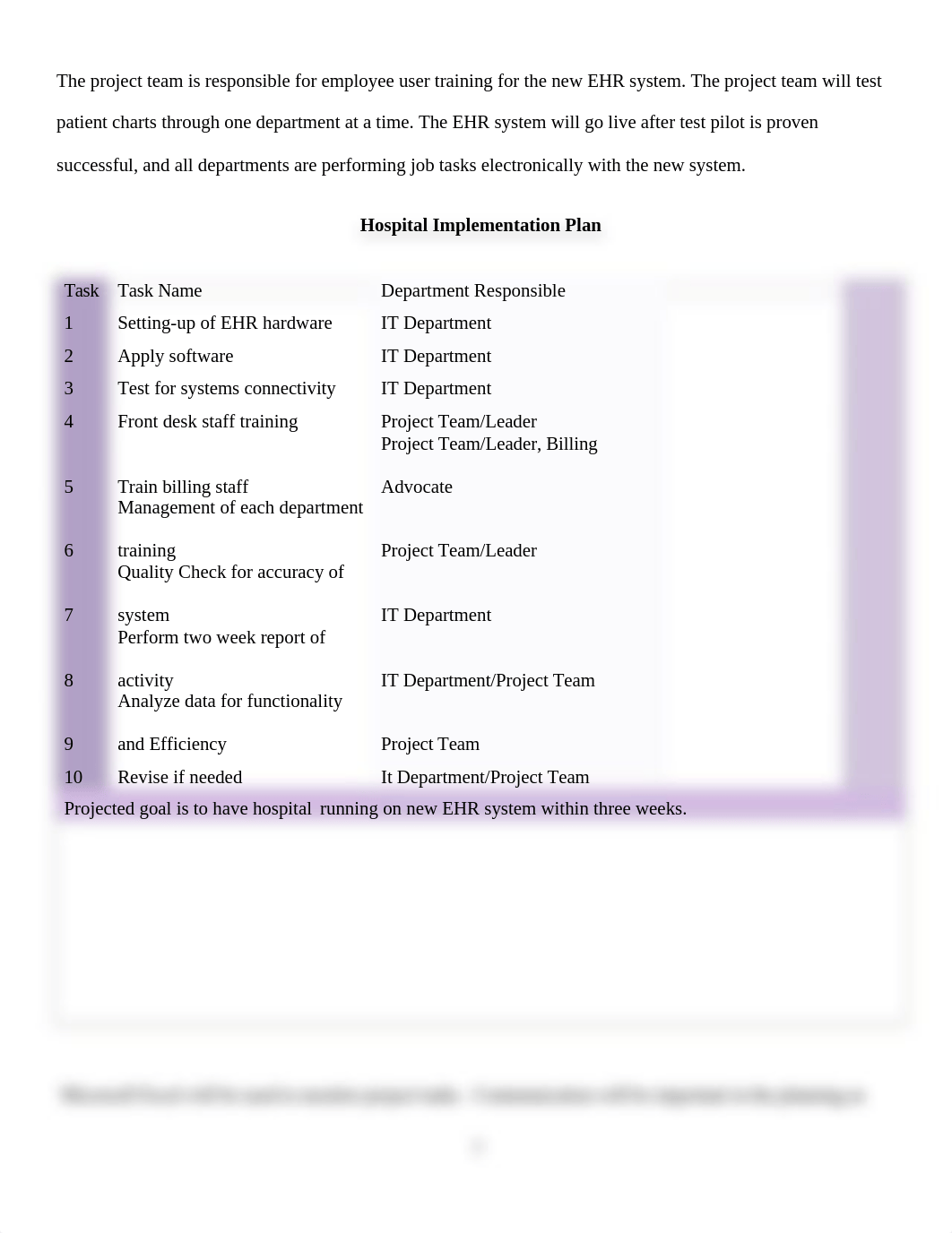 EHR Implementation (1).docx_dokx8n3a3r2_page2