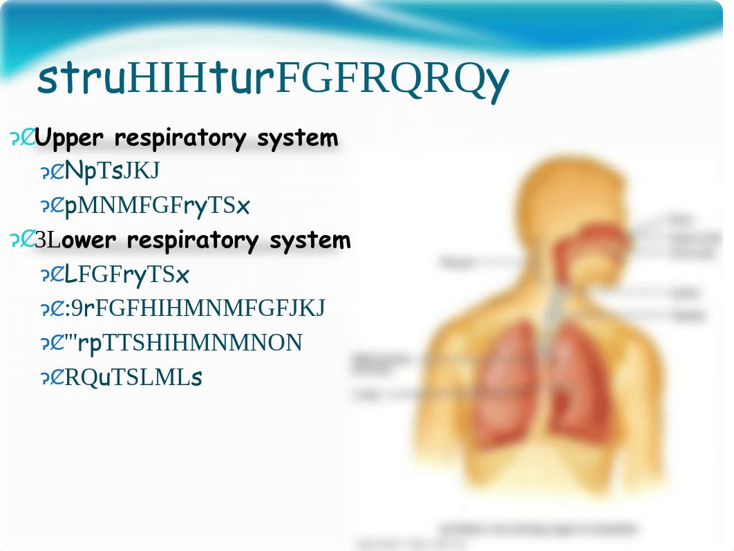 Respiratory System Ch 23 - Notes_dol130onc0q_page2