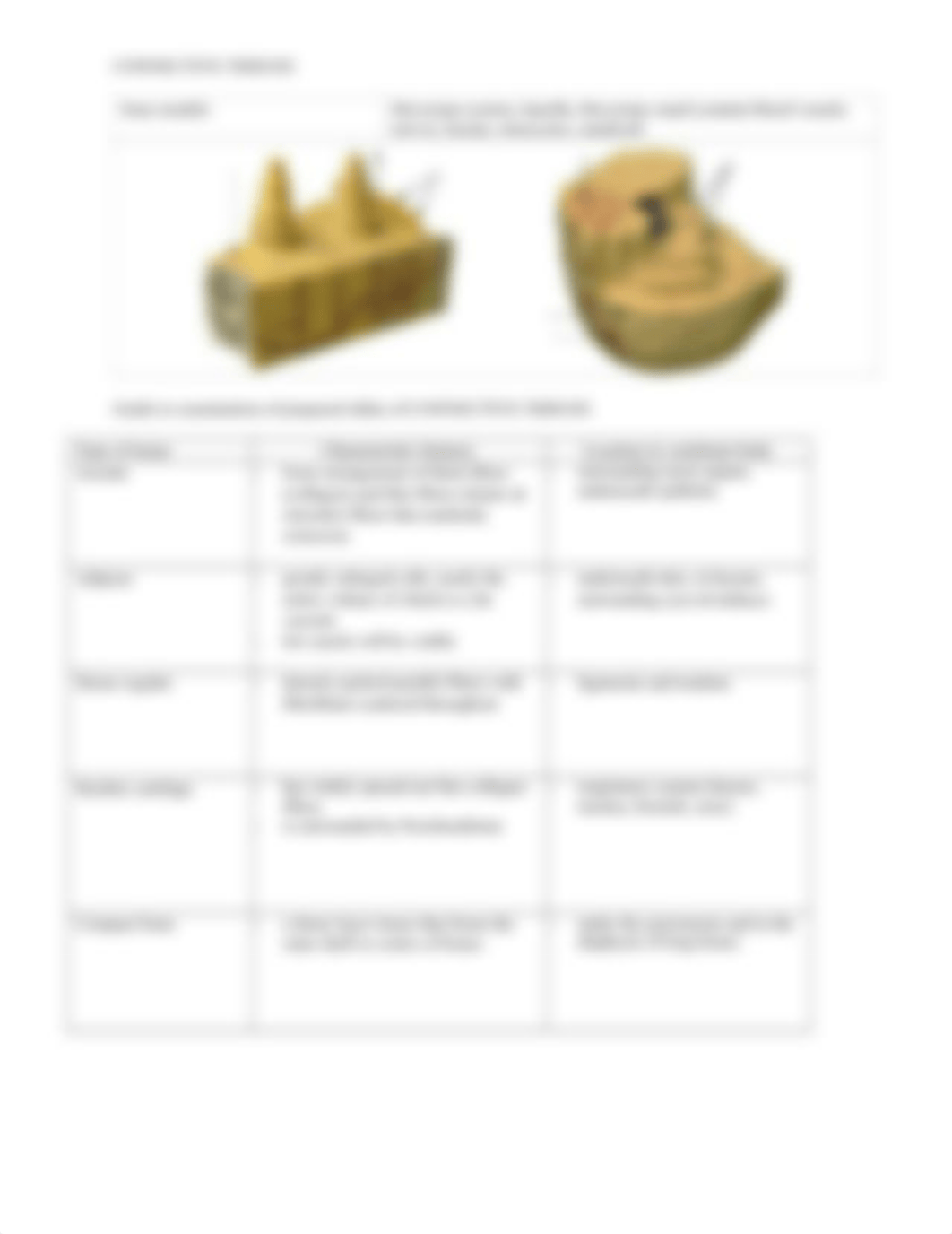 Animal Tissues Lab Worksheet COMPLETED.docx_dol4f9dcmhe_page3