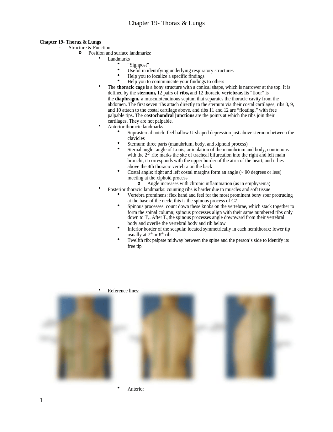 Chapter 19. Thorax & Lungs.docx_dol4wqmrjgj_page1