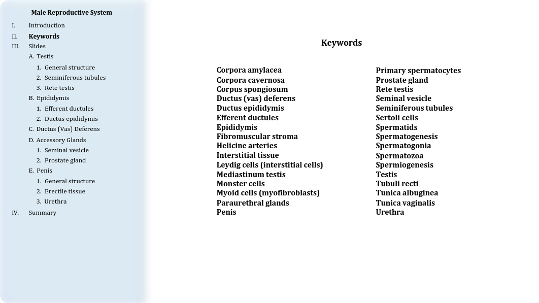 14 - Male Reproductive System.pdf_dol6djhg1sk_page3