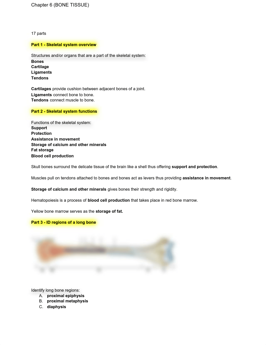 Ch.6 (BONE TISSUE) - Exam 2 Questions Key.pdf_dol88tjgd1i_page1