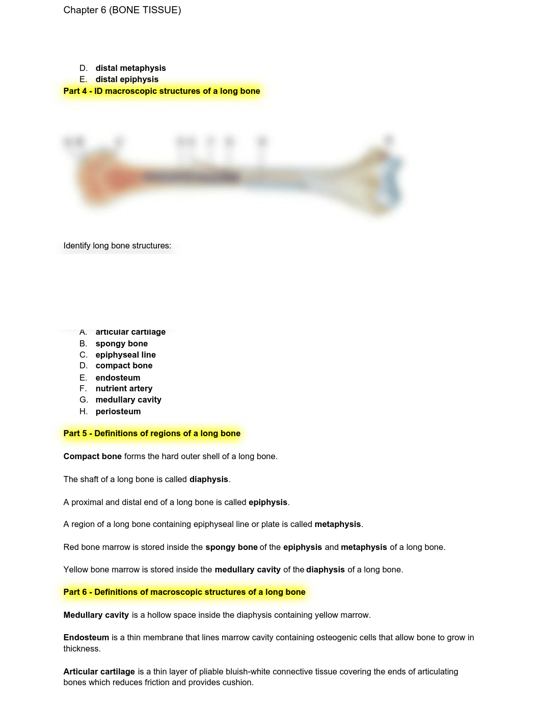 Ch.6 (BONE TISSUE) - Exam 2 Questions Key.pdf_dol88tjgd1i_page2