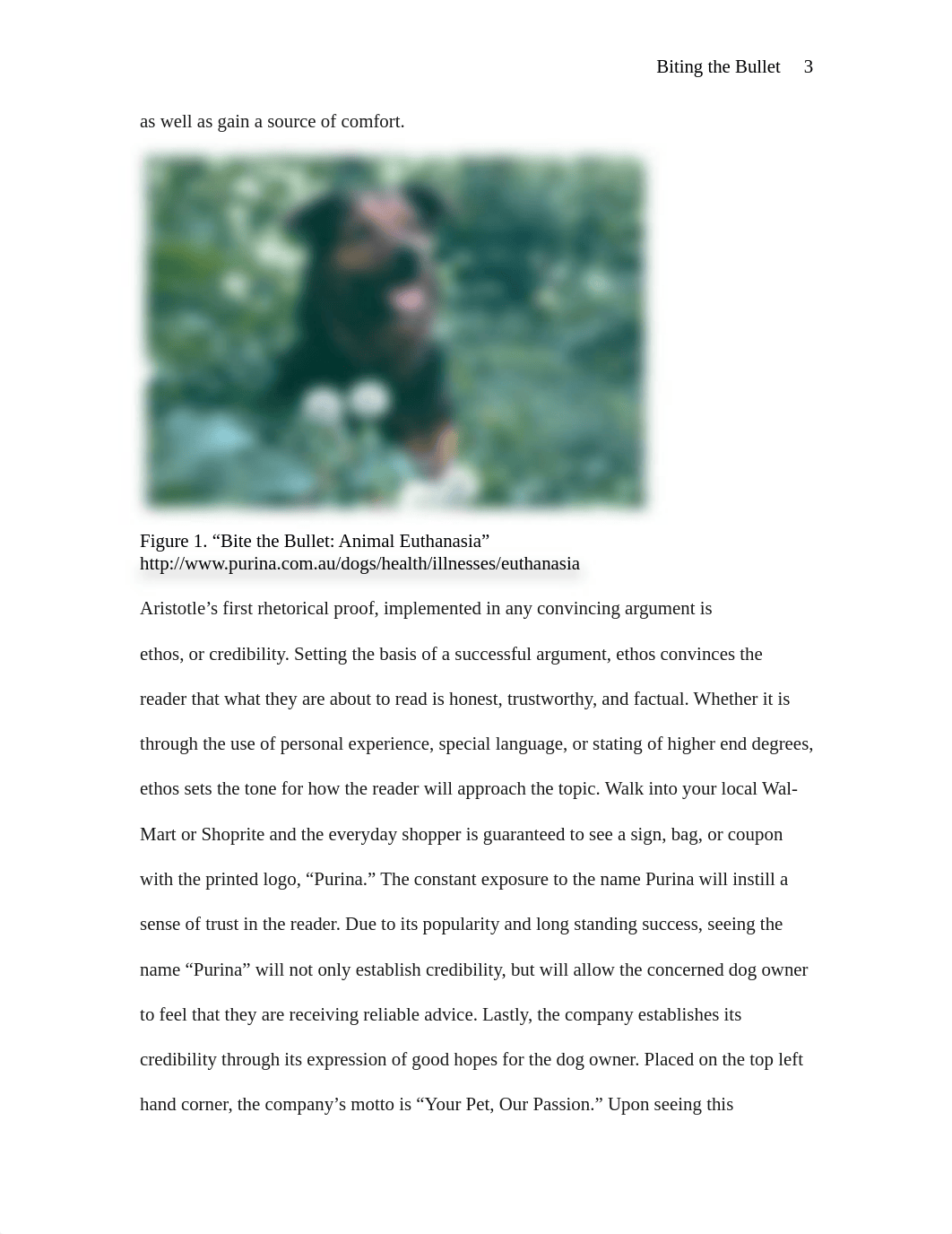 Rhetorical Analysis - Purina Dog Commercial_dol9icsls6x_page3